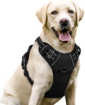 rabbitgoo Dog Harness, No Pull for Large Dogs with 2 Leash Clips, Pet Vest https://link.amazon/B04xQdMXO