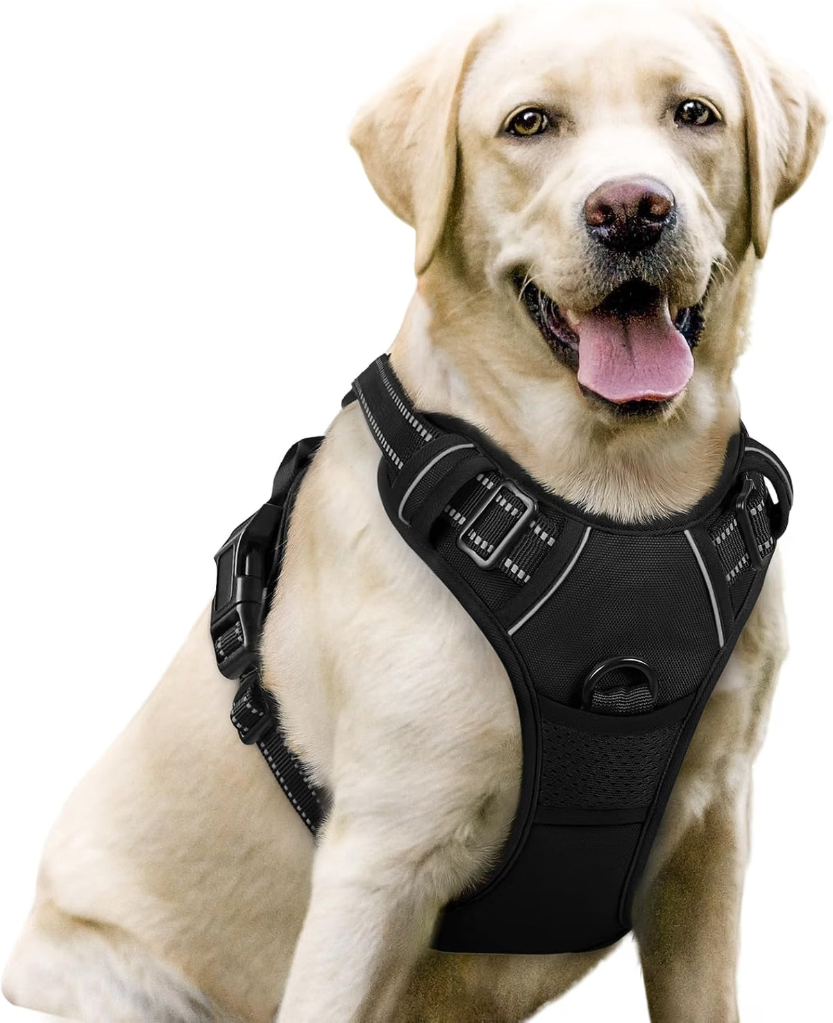rabbitgoo Dog Harness, No Pull for Large Dogs with 2 Leash Clips, Pet Vest https://link.amazon/B04xQdMXO